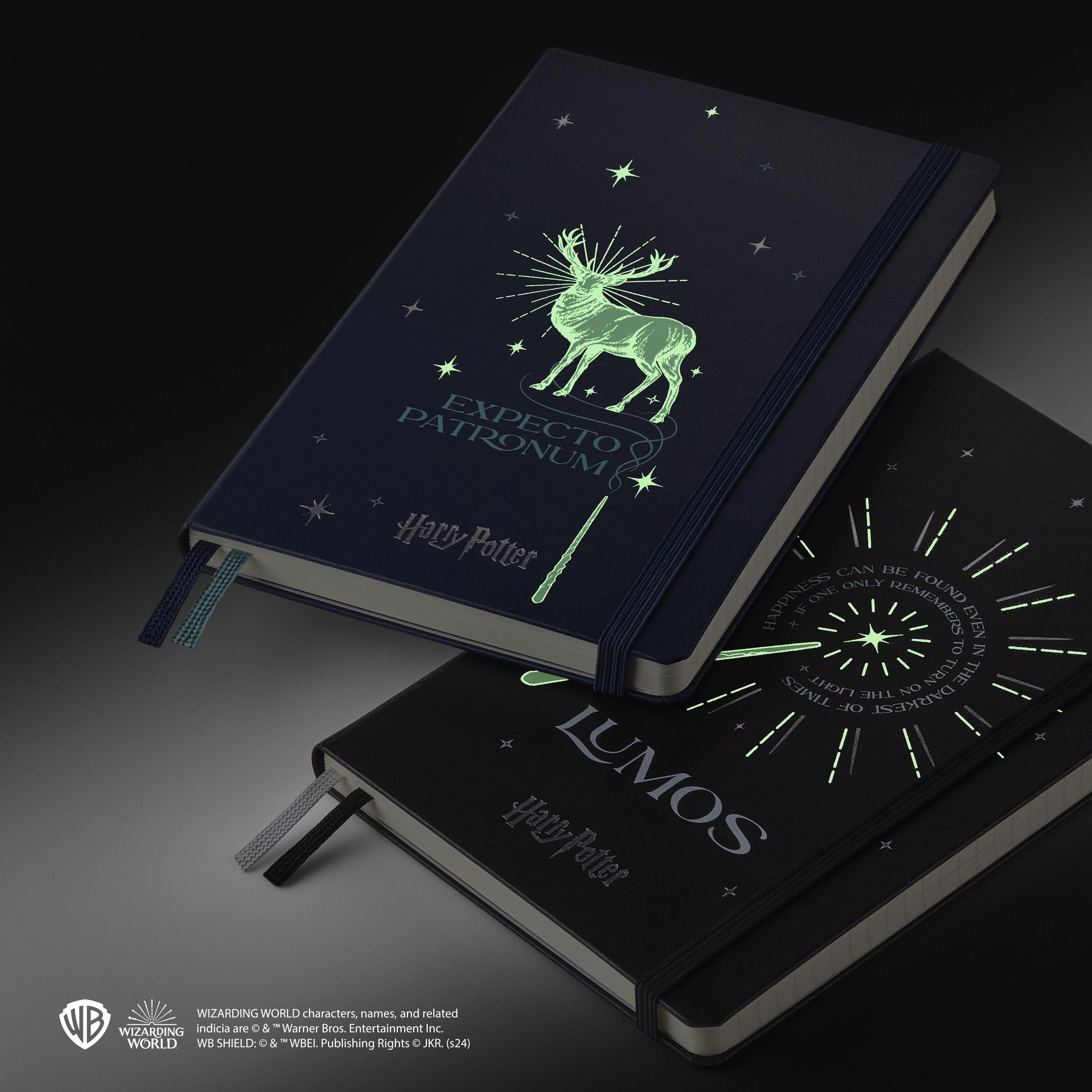 Wizarding World Harry Potter Limited Edition Notebook